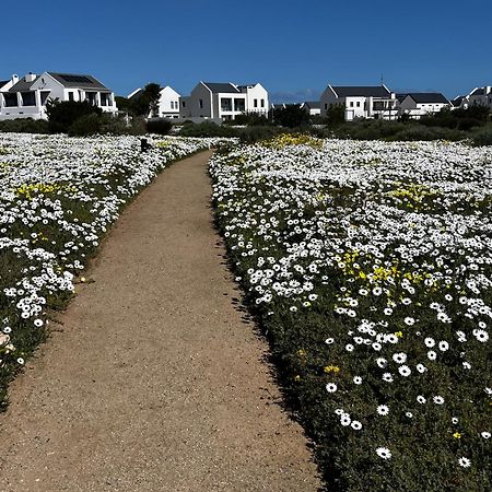 Clam Lagoon Langebaan Eksteriør bilde